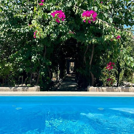 B&B Don Alessandro Surbo 外观 照片
