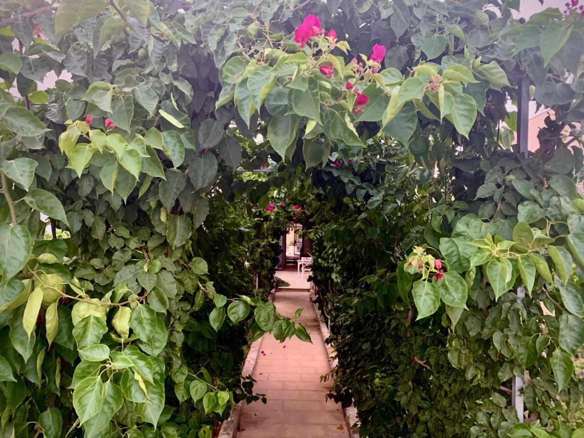 B&B Don Alessandro Surbo 外观 照片