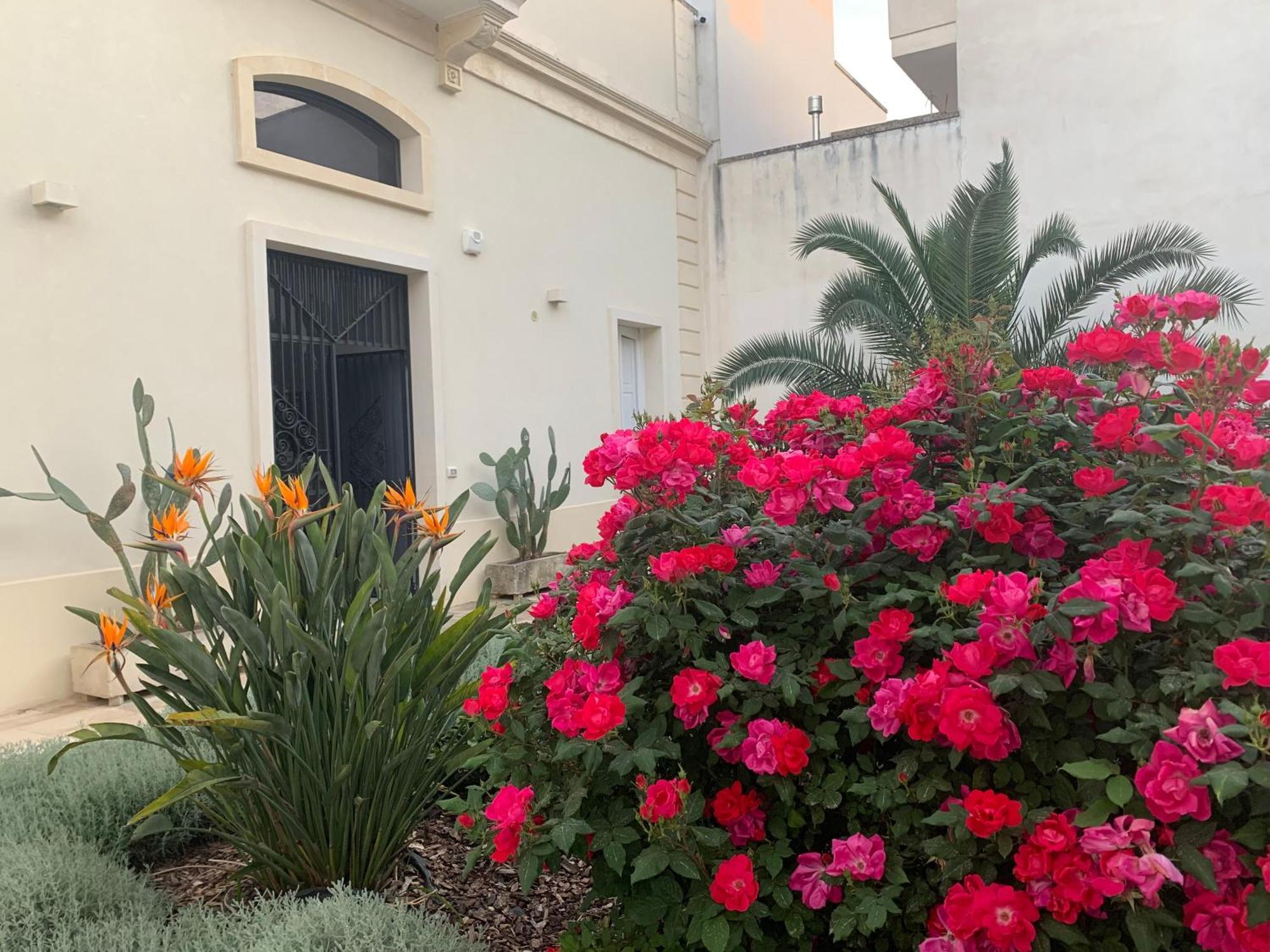 B&B Don Alessandro Surbo 外观 照片