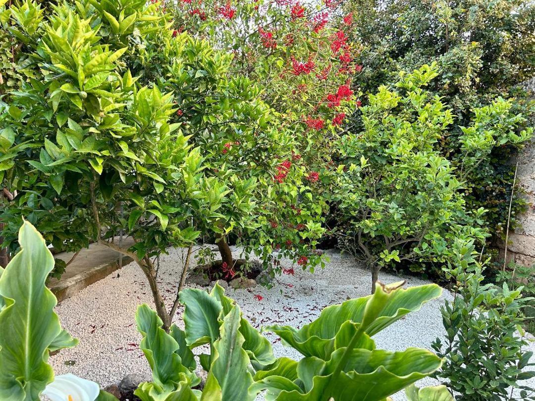 B&B Don Alessandro Surbo 外观 照片